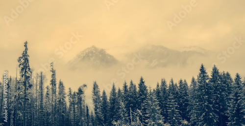 FOG  at   Tatra mountains. Stylized. © Marat Lala