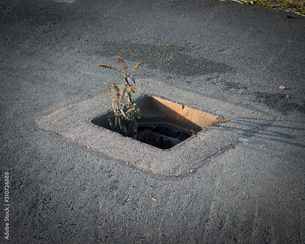 Hole In Road Manhole Without Cover In Disused Urban Road   1000 F 310724688 0dmIrWMmQcStQTs21hbHfS8hBhxQIOe9 