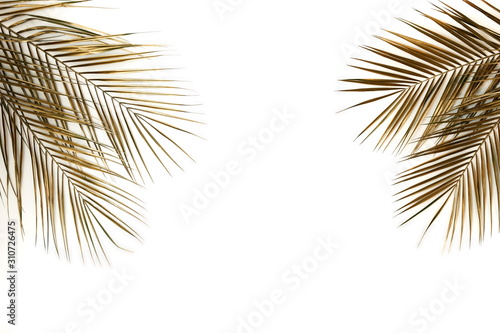 Gold palm leaves frame isolated on a white background. top view. copy space. ...