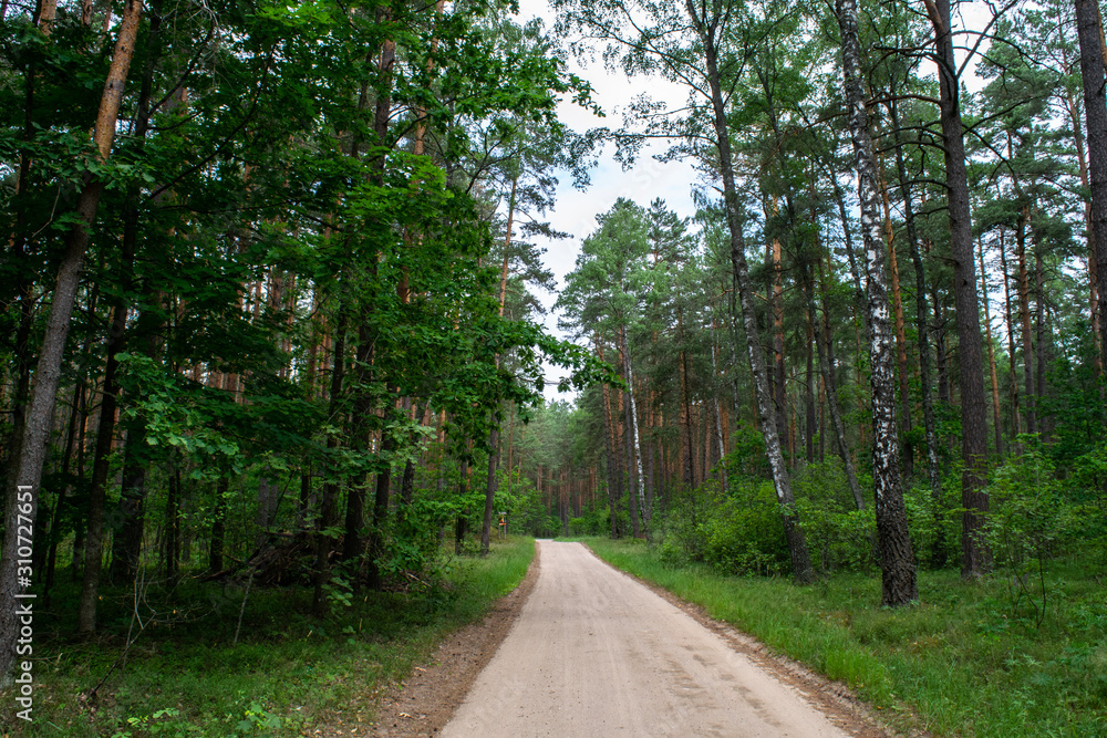 Road through Aukstaitija National Park, Lithuania Road through Aukstaitija National Park, Lithuania