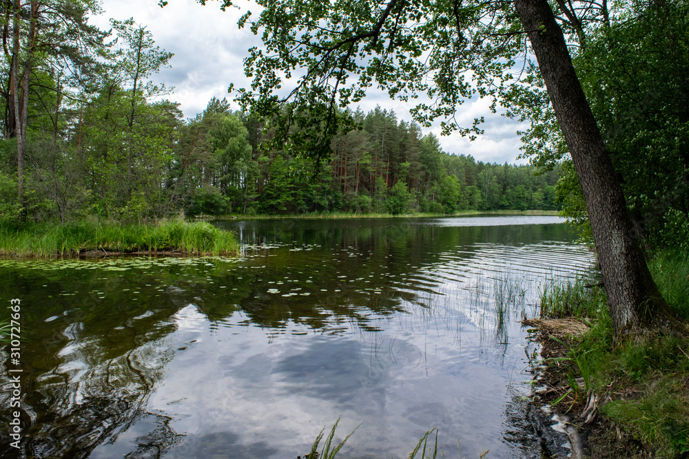 Gavys Lake in Aukstaitija National Park, Lithuania Gavys Lake in Aukstaitija National Park, Lithuania