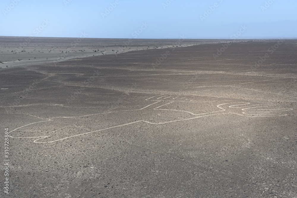 The Frog Nazca Line seen from observation deck, Peru The Frog Nazca Line seen from observation deck, Peru