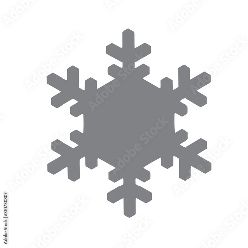 Vector snowflake icon. illustration for web