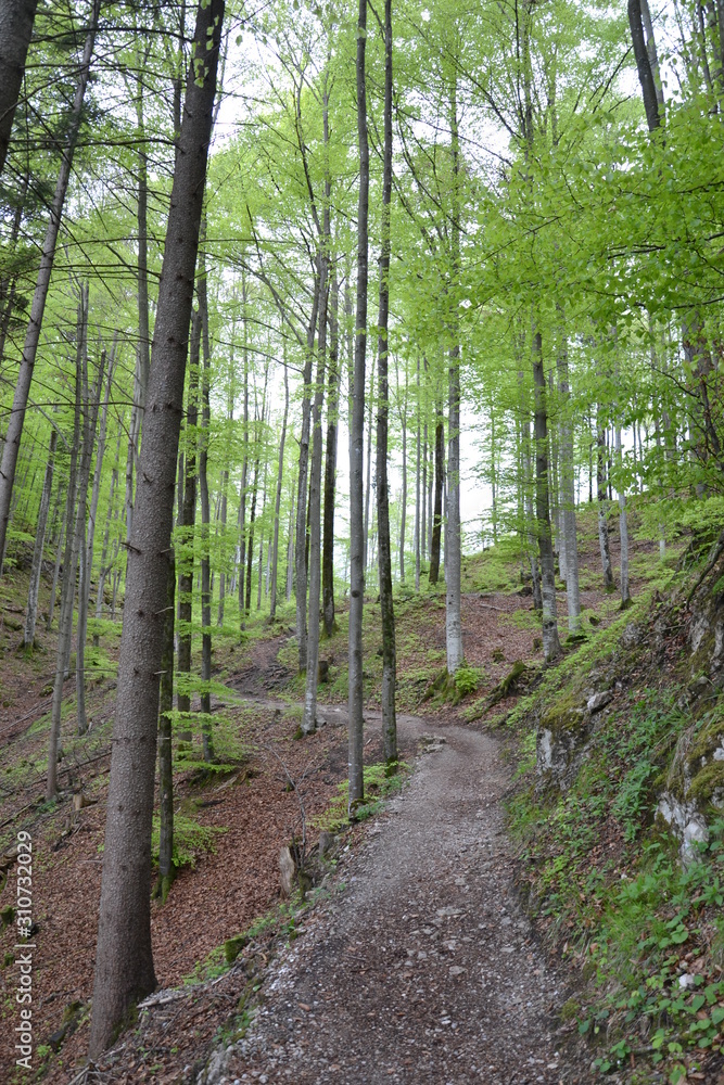 Walking in the Bavarian Alps in cloudy weather Walking in the Bavarian Alps in cloudy weather