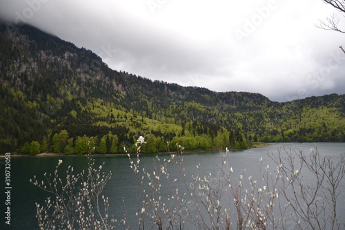Walking in the Bavarian Alps in cloudy weather