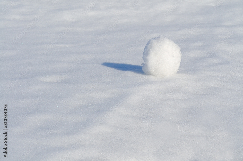 Snowball on the snow. Snowball on the snow.