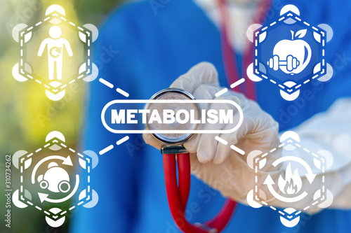 Foto Metabolism Symbiosis Medical Concept