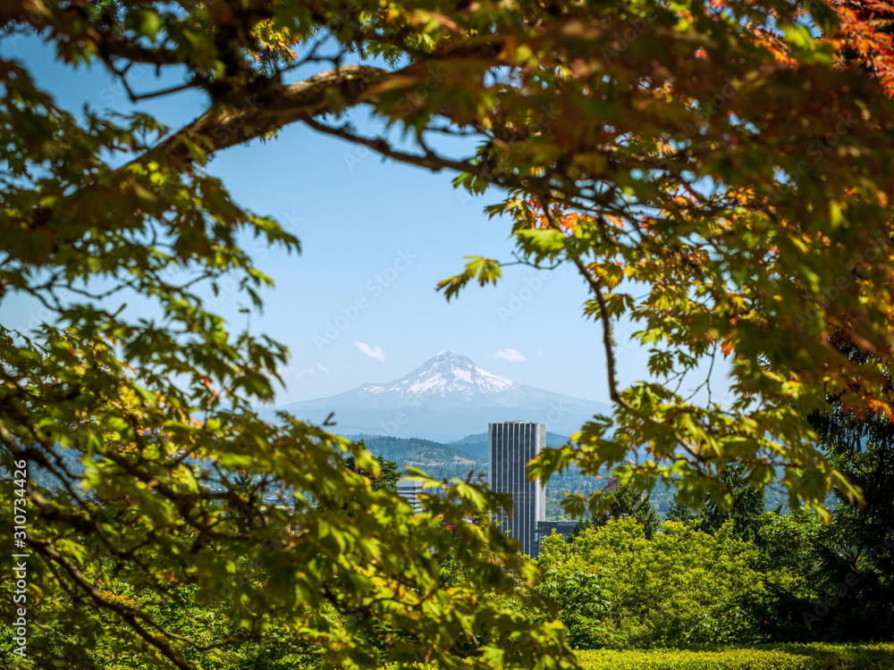 Mount Hood from the Japanese Gardens in Portland
