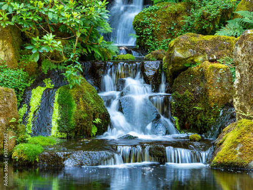 Pacific Northwest Waterfall and greenery © DesiDrew Photography