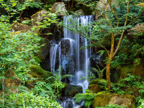 Pacific Northwest Waterfall and greenery