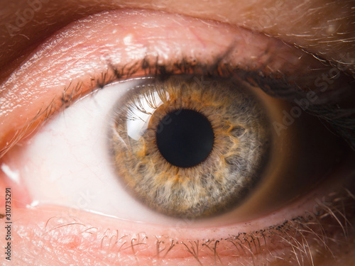Detail of human eye eyeball