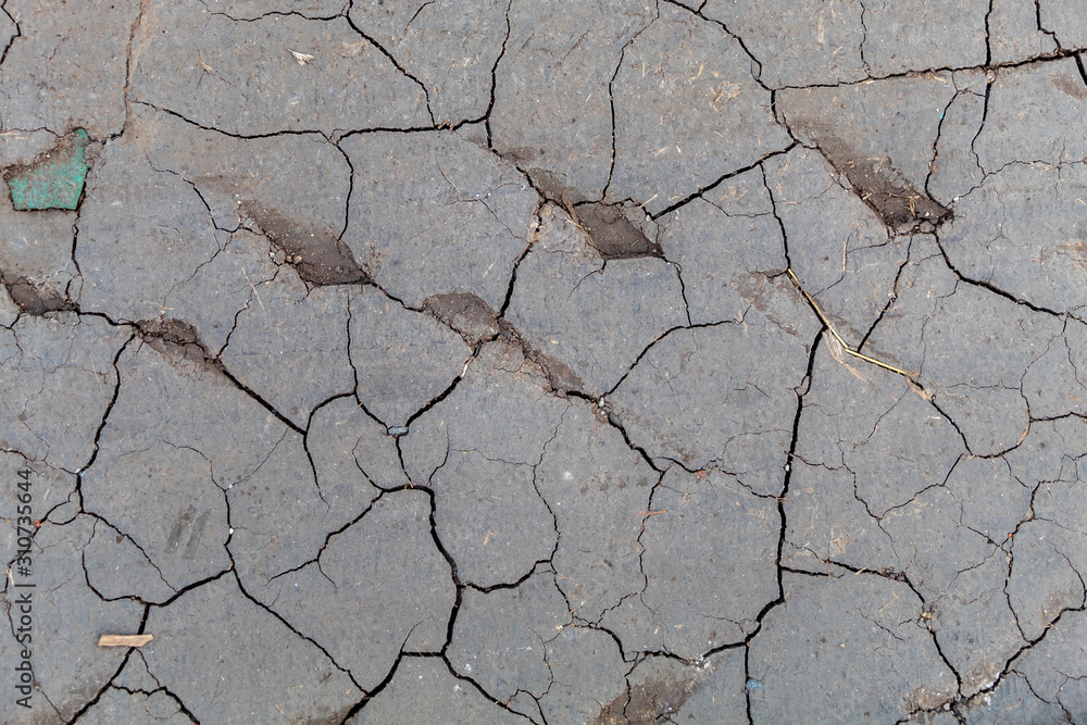 Obraz premium Dry Cracked Soil Texture Top View