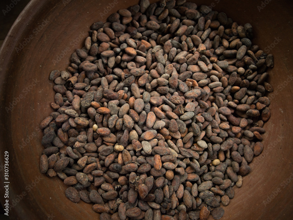 Cocoa beans on a brown clay bowl background Cocoa beans on a brown clay bowl background