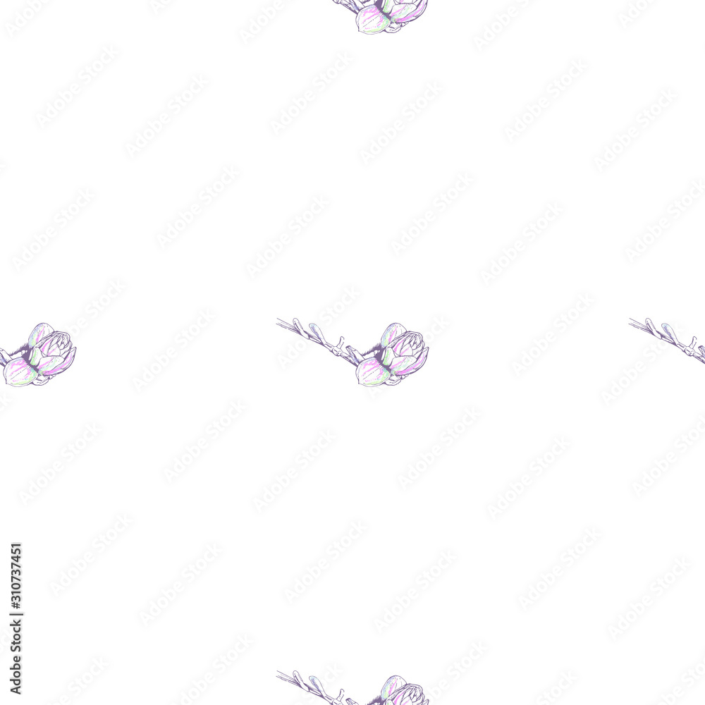 Flower Pastel.White Romantic Seamless Pattern. Flower Pastel.White Romantic Seamless Pattern.
