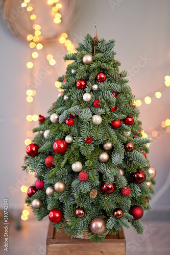 Beautiful small Christmas tree on wooden table. Happy mood. Garland lamp bokeh on background. Wallpaper. Danish pine and fir  Nobilis