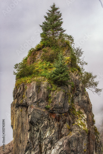 Kenai Fjords national park