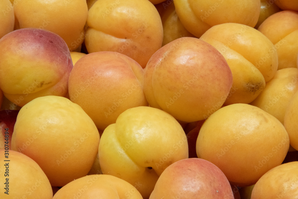 fresh jujicy apricots