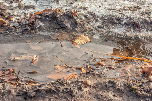 Mud Puddle with Ice