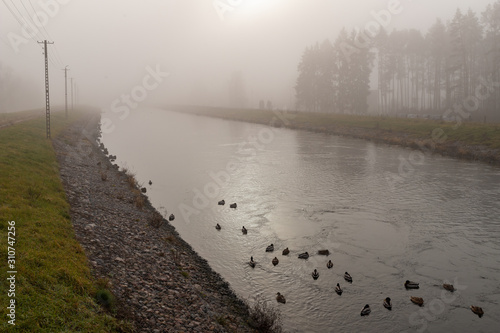 Water channel leading to the power plant in Central Europe. Fog rising above the water. photo