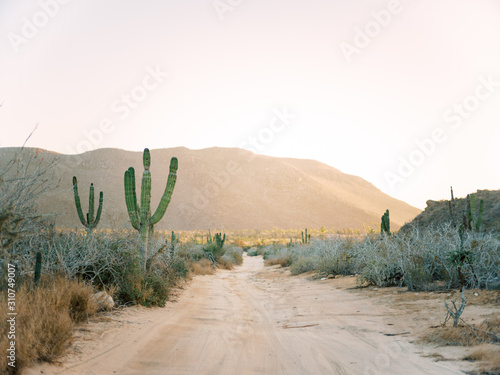 Desert dirt road landscape at sunset