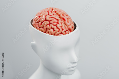Female white mannequin with the top of the head opened. Can see the brain inside photo