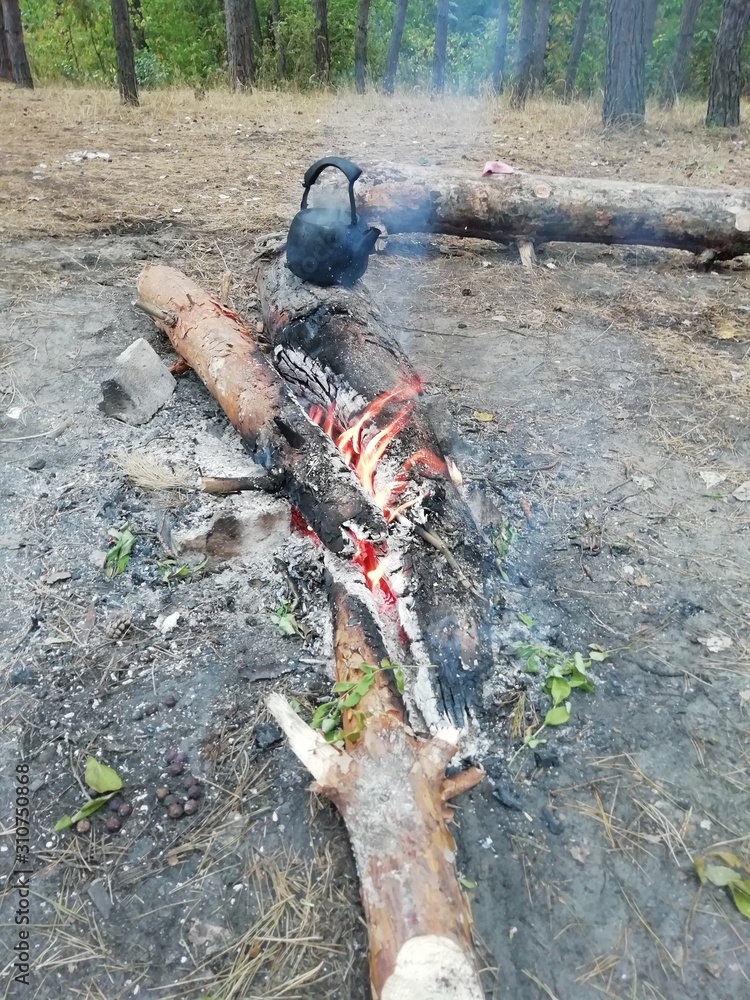 Obraz premium tea at the stake