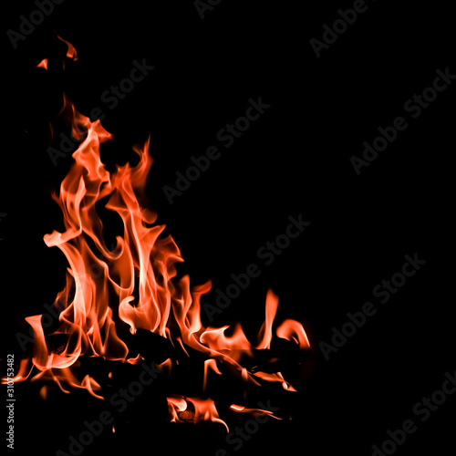 Flames of fire on a black background. The mystery of fire.