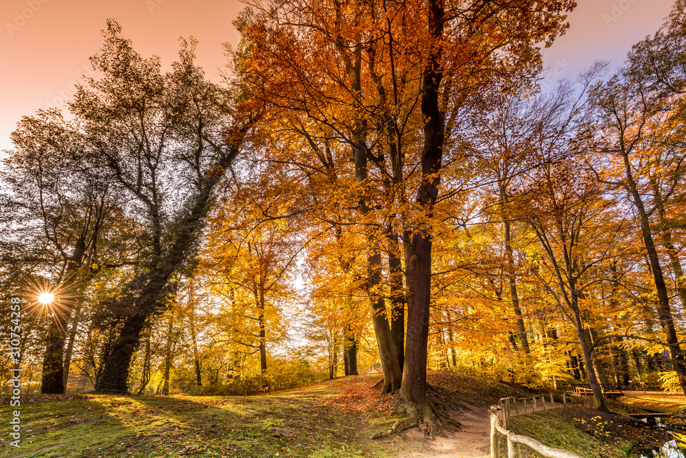 Obraz premium Branitzer Park Cottbus