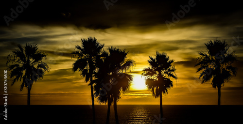 sunset on the beach Palm Trees