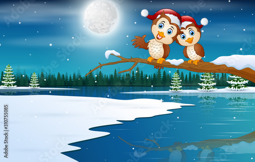 Owls couple wearing a christmas hats in winter landscape