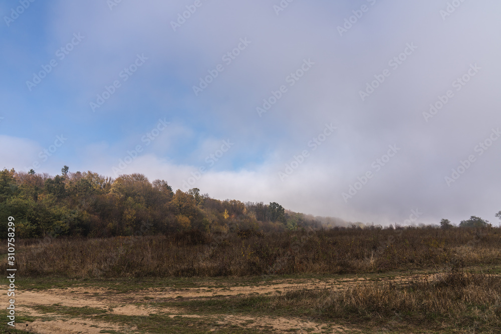 Autumn landscape, colorful meadow and forest, blue sky with clouds