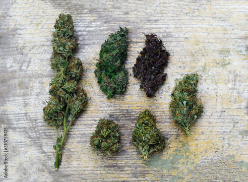 Medical Cannabis Buds. photo