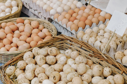 Set of different eggs in shop photo