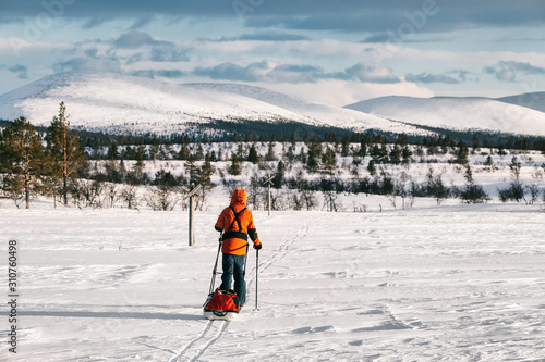 Anonymous Adventurer Ski Hiking With Sled Through Lapland photo