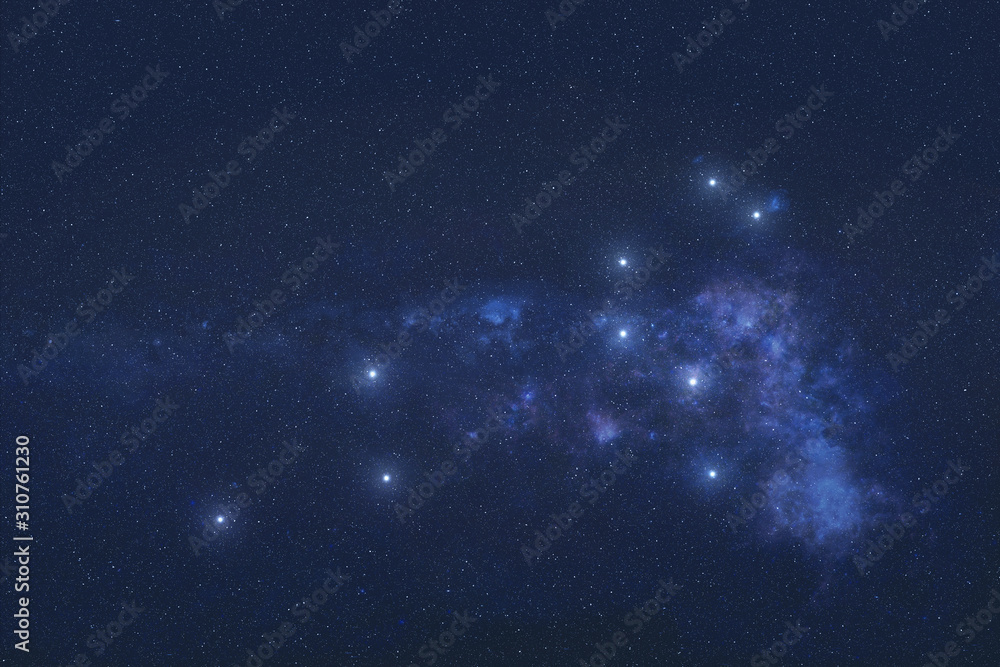 Leo Constellation stars in outer space. Zodiac Sign Lion constellation stars. Elements of this image were furnished by NASA