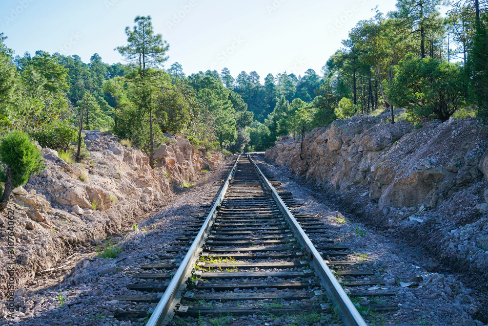 Obraz premium Railway in the forest