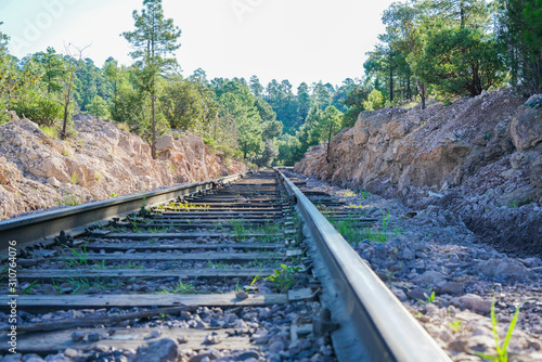 Railway in the forest