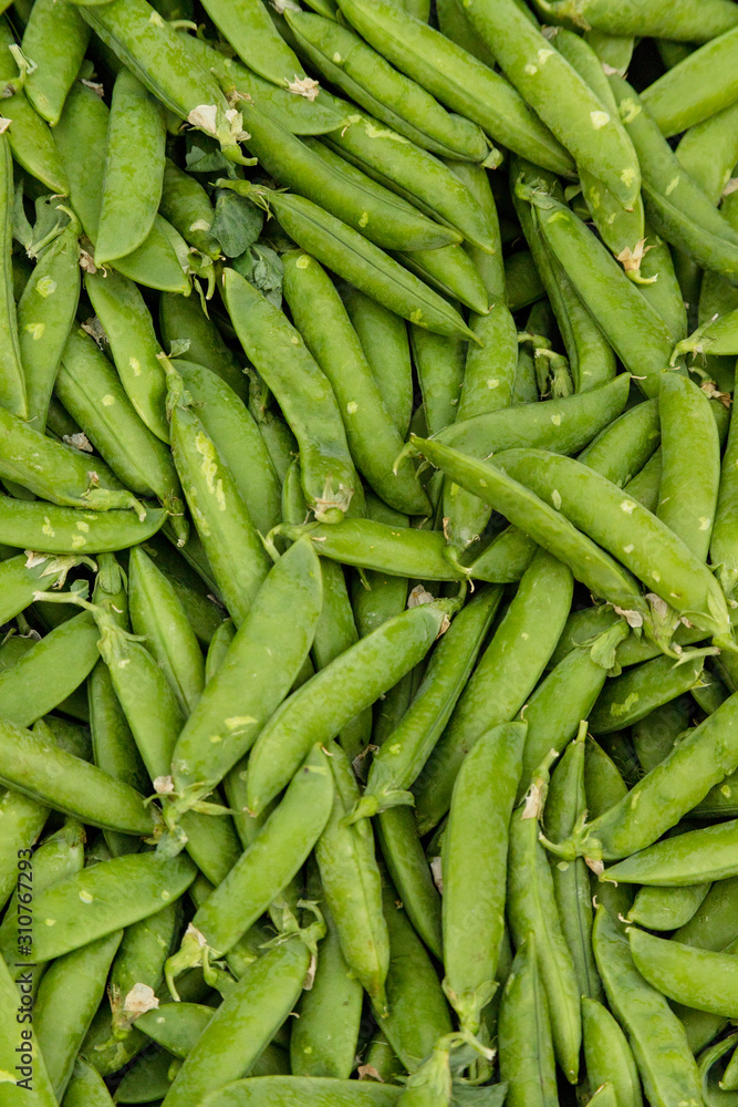 A lot of green pea pods, top view