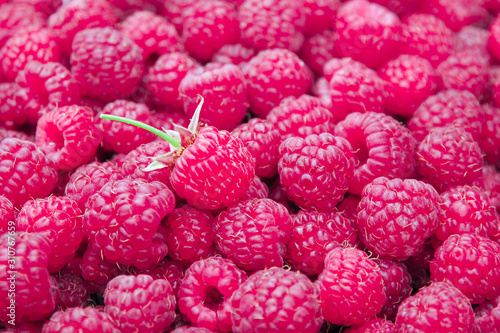 Seasonal food background of selected forest raspberries