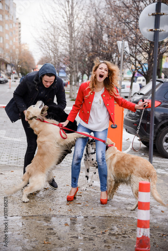 Photography Cute young woman walking with Dalmatian dog and Golden Retriever