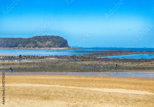 Muchangpo Myterious Sea Route, Boryeong, Chungnam, South Korea, Asia photo