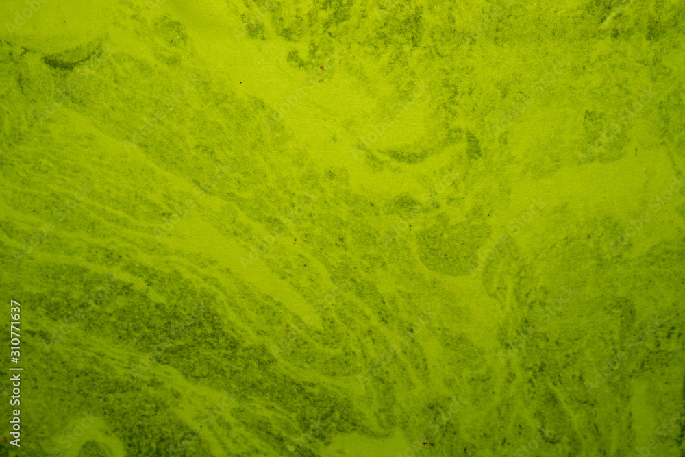 Fototapeta premium Photo of a bright colorful watercolor background.