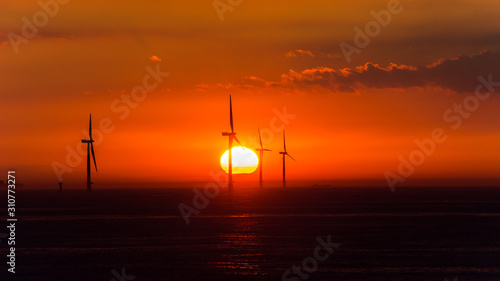 wind turbines from the Northern Sea in the sunset