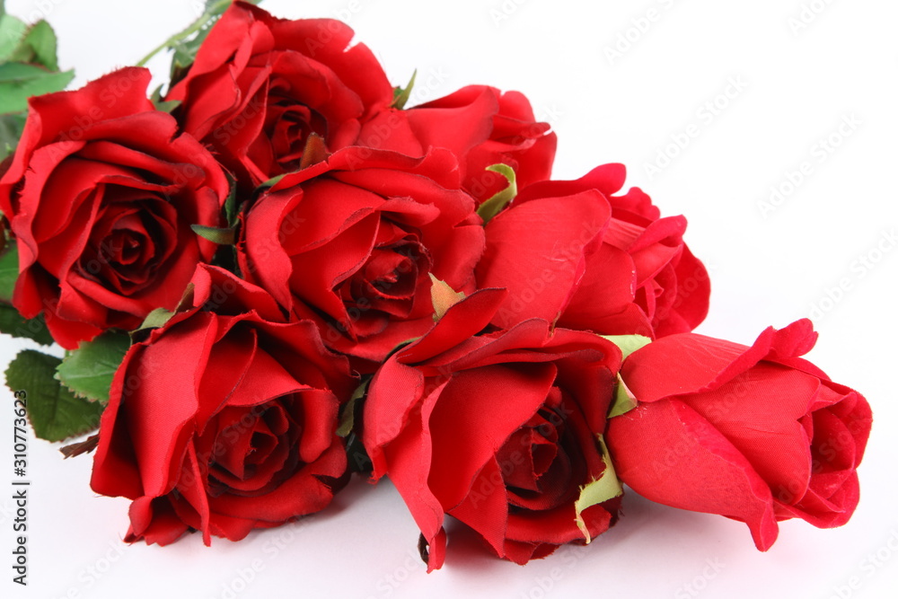 Red roses isolated on white background Red roses isolated on white background