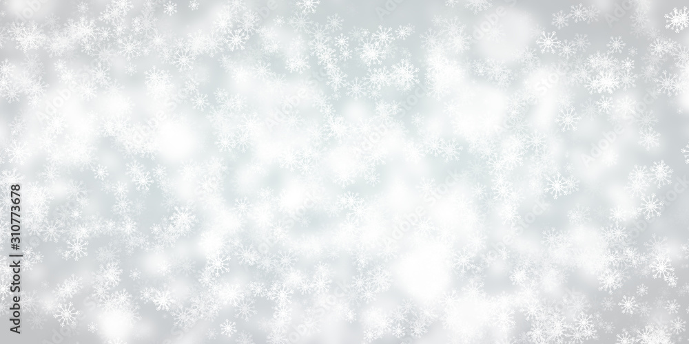 Fototapeta premium white and gray Christmas light with snowflake bokeh background, Winter backdrop wallpaper.