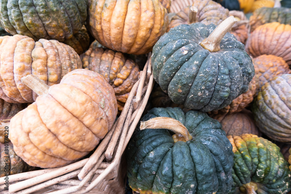 Baskets of winter squash at the market Baskets of winter squash at the market