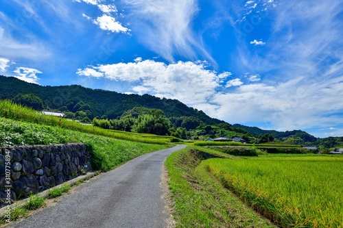 明日香村の秋の情景＠奈良