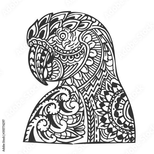 Hand drawn zentangle parrot head for coloring book page