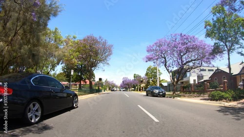 Vehicle POV driving along purple flowering Jacaranda tree lined Conyingham Street, Glenside, Adelaide, South Australia, on a sunny Springtime day. photo