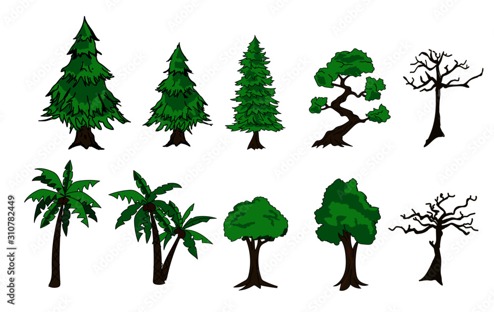 Fototapeta premium Draw tree vector